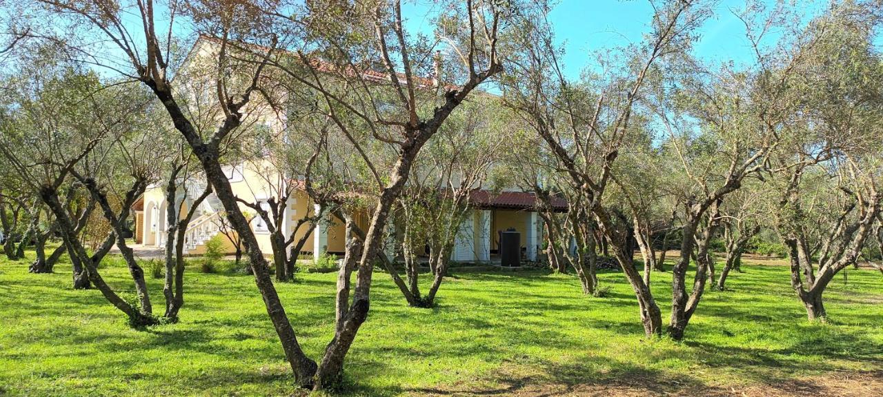 شقة Antonios Olive Garden Acharavi Kerkyra المظهر الخارجي الصورة
